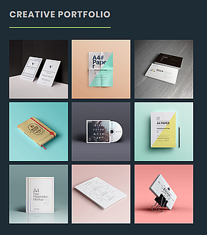 Portfolio Widget